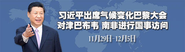 习近平访问津巴布韦南非