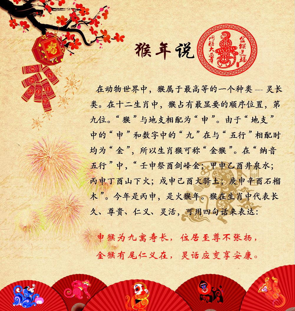 2016年网络大过年特别报道