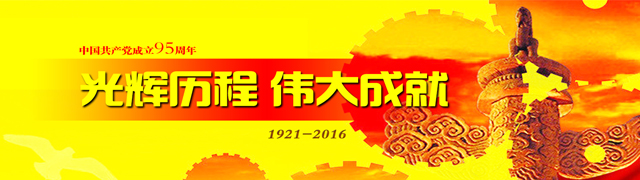 中国共产党成立95周年