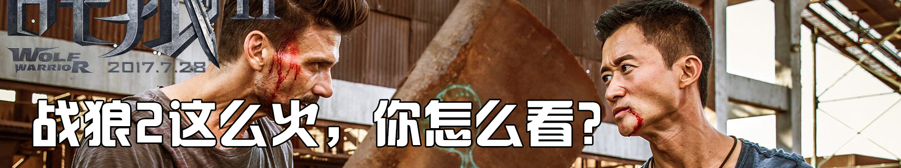《战狼2》这么火 你怎么看？