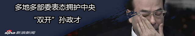 多省市多部委表态拥护中央“双开”孙政才_新浪专题