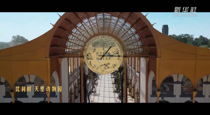 习近平与外国友人的故事|花开满树情常在