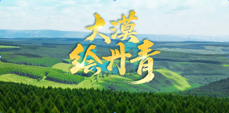 近观“两山”丨大漠绘丹青