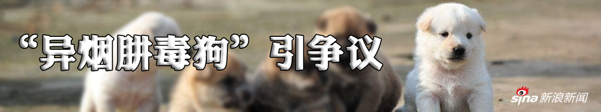 异烟肼毒狗引发热议 是杀戮游戏还是正义之道？