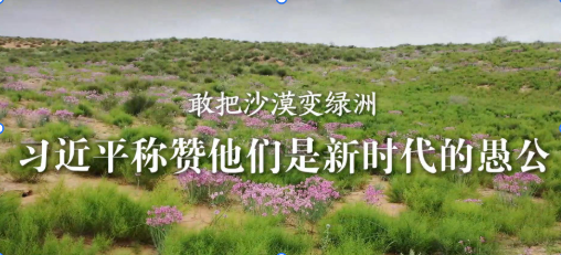 学习·故事丨敢把沙漠变绿洲 习近平称赞他们是新时代的愚公