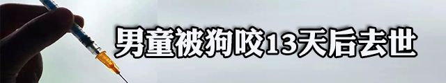 男孩被狗咬13天后去世 被确诊为狂犬病