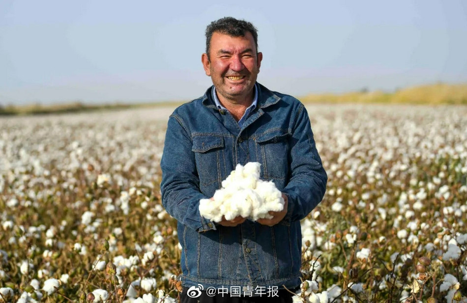 新疆棉收购现场
