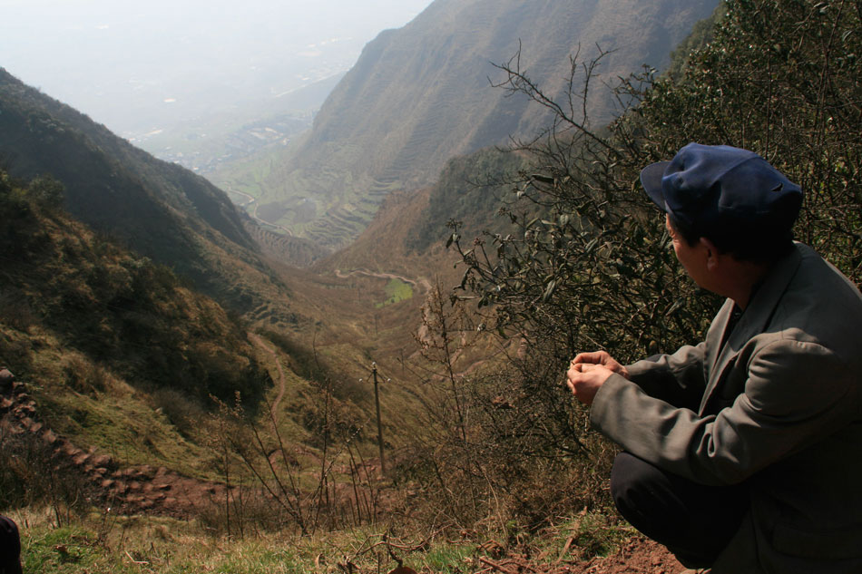 时间管理大师是什么梗