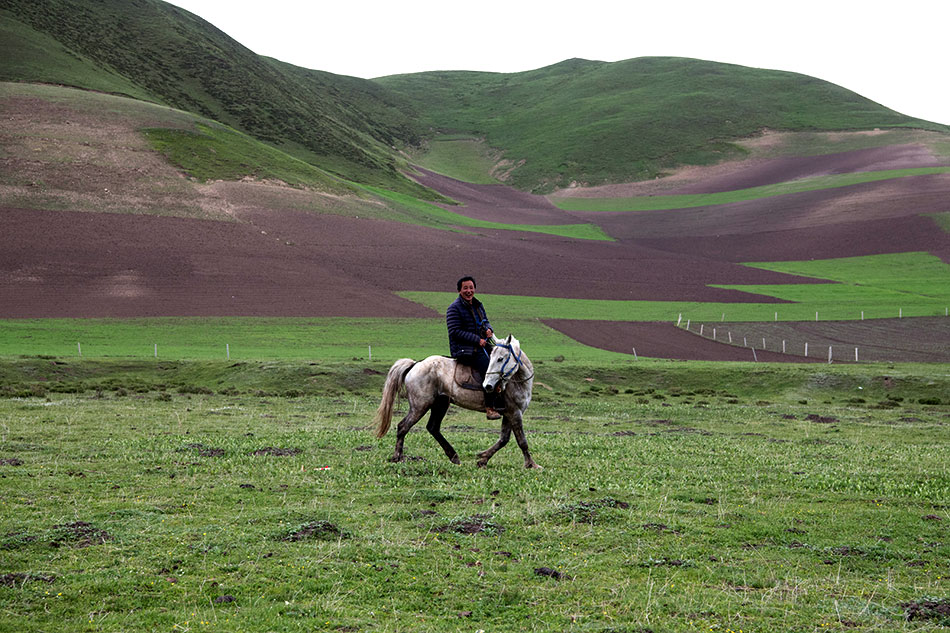 澳大利亚对荷兰-乐鱼app(leyu)官方网站-乐鱼官网