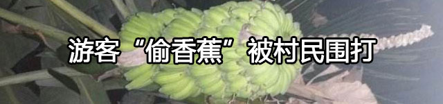 游客在广西“偷香蕉”引冲突