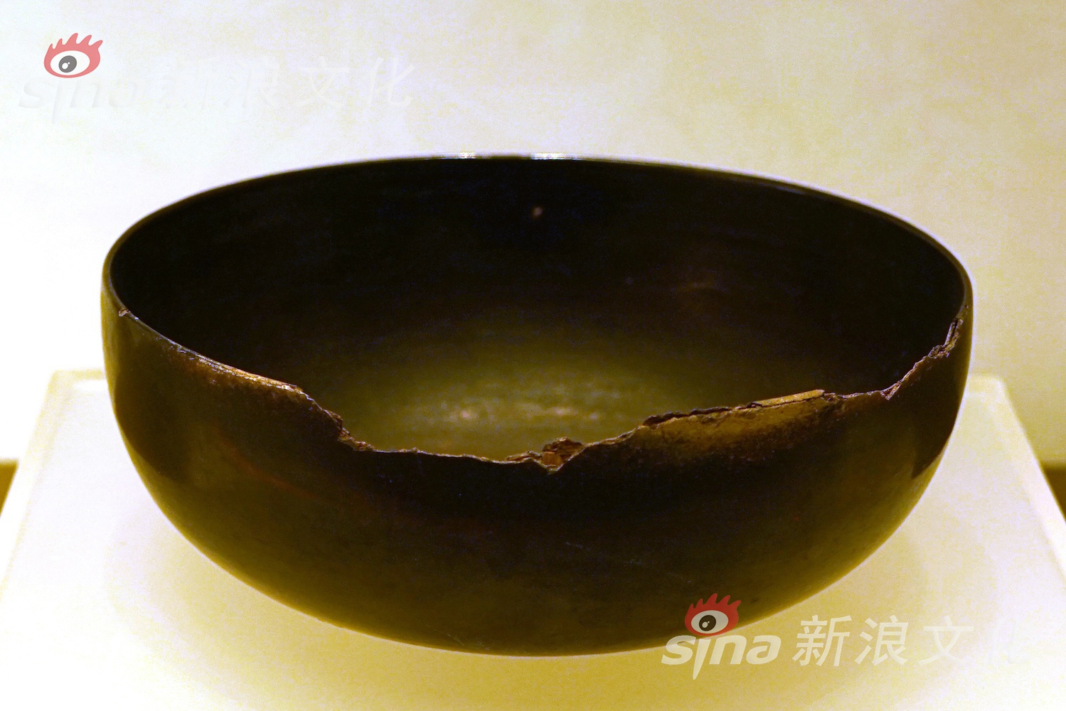 青娱乐91