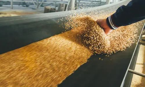 “全球四大粮商”掌控着全球75%-90%的粮食交易。图源:WRI