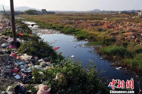 資料圖:博社村前水溝發黑發臭。陳驥旻 攝
