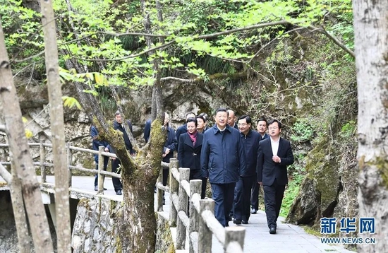 2020年4月20日至23日,习近平在陕西考察。这是4月20日,习近平在位于秦岭山脉东段的牛背梁国家级自然保护区羚牛谷,了解秦岭生态环境保护情况。新华社记者 谢环驰 摄