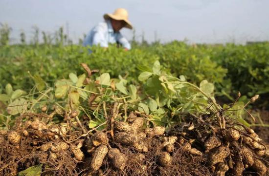 金秋 我们收获希望