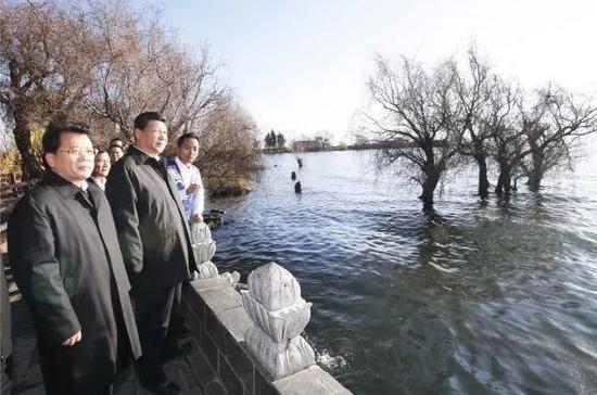 2015年1月20日,习近平来到大理白族自治州大理市湾桥镇古生村,细心观察洱海滨的生态维护湿地。新华社记者 鞠鹏 摄