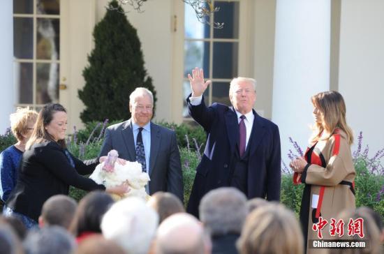 當地時間11月20日，美國總統川普出席2018年感恩節總統赦免火雞儀式。中新社記者 陳孟統 攝