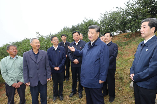 17日上午,正在河南考察调研的习近平总书记来到光山县司马光油茶园,察看当地产业脱贫工作成效。新华社记者 鞠鹏 摄