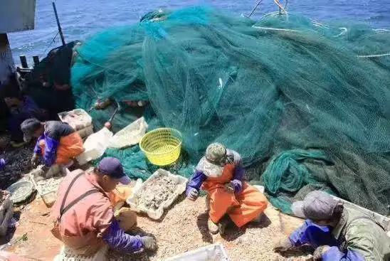 江苏史上最大海上偷捕案细节:捕鱼为何被索赔过亿
