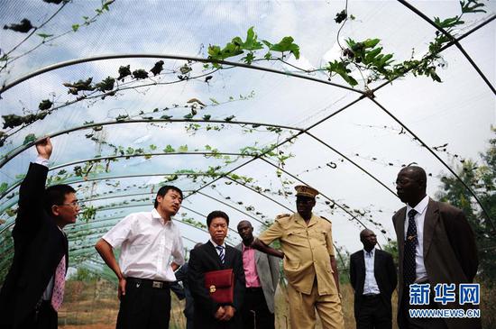 这是2010年12月9日，在塞内加尔首都达喀尔远郊桑加勒卡姆镇的中国农业技术示范基地，中国援塞农业专家张本俊（左一）向塞方官员介绍防鸟网的作用。新华社记者 丁海涛 摄