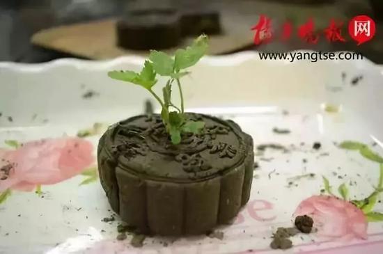 今年最受欢迎的月饼是它 网友：此一时彼一时啊