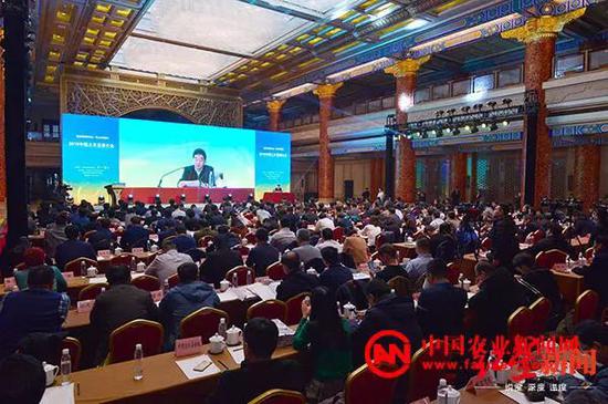 ⬆ 2019中国三农发展大会24日在京召开。图为大会现场。 图片来源:中国农业新闻网
