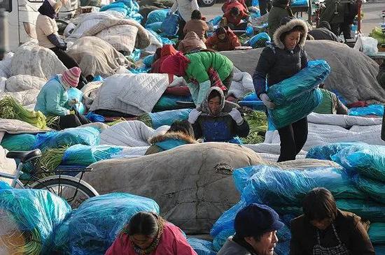 北京新发地农产物中央批发市场。(图片泉源:视觉中国)