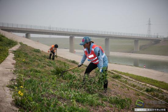 5月16日，渠道绿化维护人员在清理干渠两侧防护坡（图片来源：tuku.qianlong.com）。千龙网记者 宋鹏飞摄