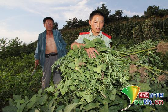 张光付（右）帮助村民在地里劳作。通讯员　裴晓伟摄