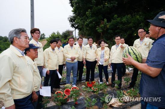 韩国高温致蔬菜水果价疯涨 主妇买萝卜只买半根