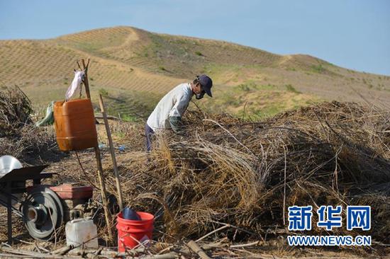 在内蒙古鄂尔多斯市杭锦旗，工人为新修的穿沙公路制作沙障（7月26日摄）。新华社记者 邹予 摄