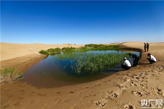 内蒙古杭锦旗在黄河凌汛期向沙漠引水，让水患变水利，沙地变湿地，是沙漠治理新模式（7月23日摄）。（央广网记者 张凯航 摄）