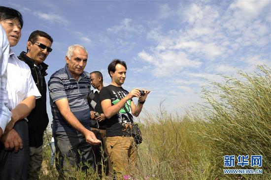  参加阿拉伯国家防沙治沙技术培训班的学员在宁夏盐池县毛乌素沙地边缘参观（2013年9月2日摄）。新华社记者李然摄