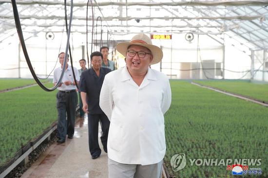 金正恩今年7月视察苗圃的场景。(图/朝鲜《劳动新闻》)
