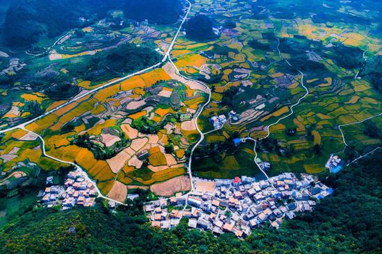 中国之美|你的小生活 都是值得记录的大事件