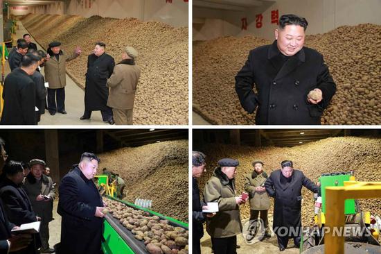 金正恩视察三池渊郡土豆粉制造厂。(韩联社)