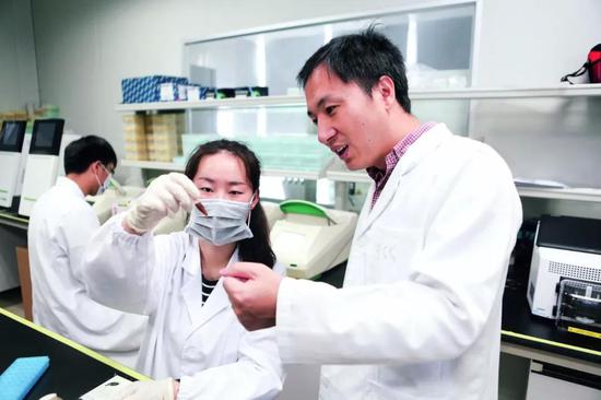 深圳市瀚海基因生物科技有限公司内,贺建奎(右)与实验室的工作人员。 图/视觉中国