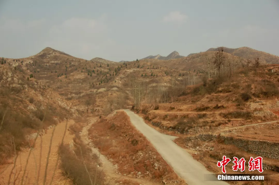 远处山上,马三小所植树木 陈昊摄