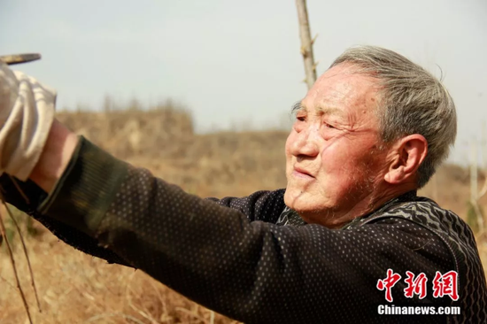 马三小在种树 陈昊摄