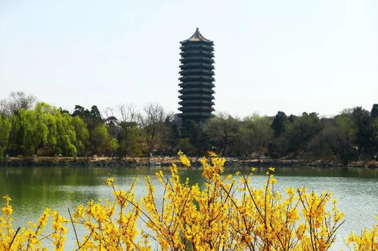 △图/视觉中国