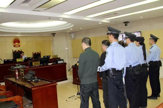 图为5月6日西城法院对辛某等四人非法交易珍稀动物制品案进行一审宣判。