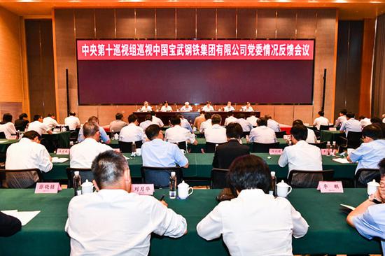 中央第十巡视组向中国宝武钢铁集团有限公司党委反馈巡视情况