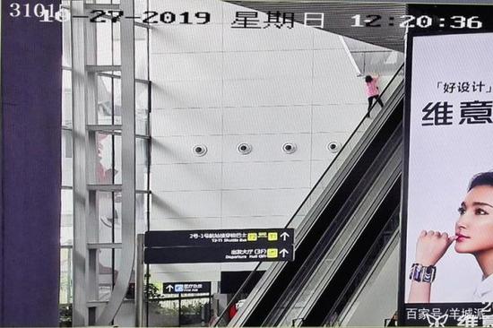 最佳娱乐场注册送58元·“帮助流浪动物也是关爱我们自己”