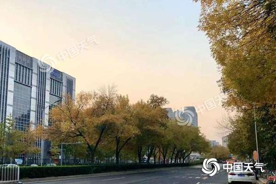 今晨，北京天微微亮，街头一派秋日景象。（图/王晓）