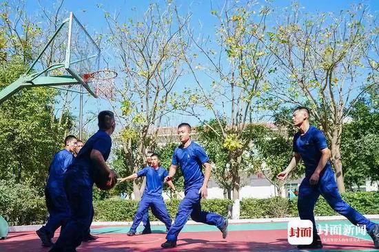 518白菜网|听到猫说“我喜欢你”是一种怎样的感受?