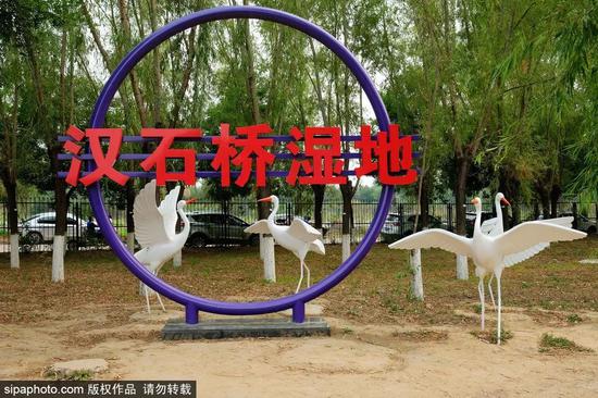 平平娱乐场最新网址|钱少不够花? 逾半数美国成年人因财务焦虑失眠