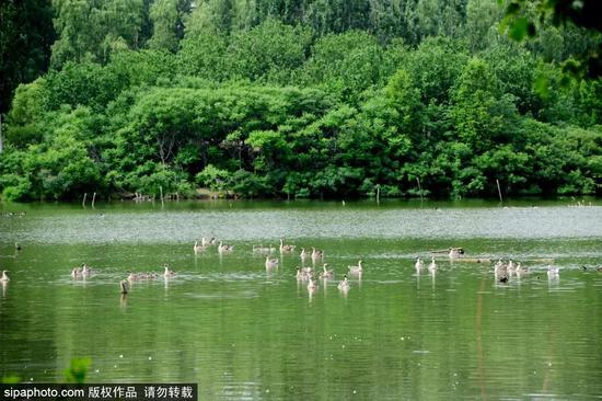「黑彩平台投注规则」想和你上床的女人,才值得爱