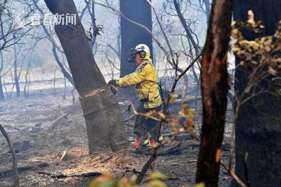 悉尼被大火包围三面皆燃 民众：只能往海里逃？