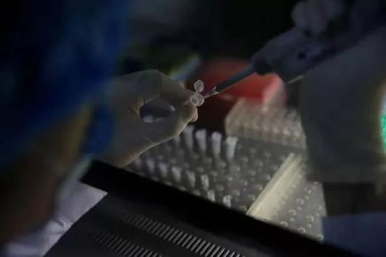 孩子非亲生,亲子鉴定后他问:能改结果吗