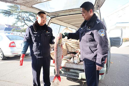 犯罪团伙非法捕捞鱼获550公斤。